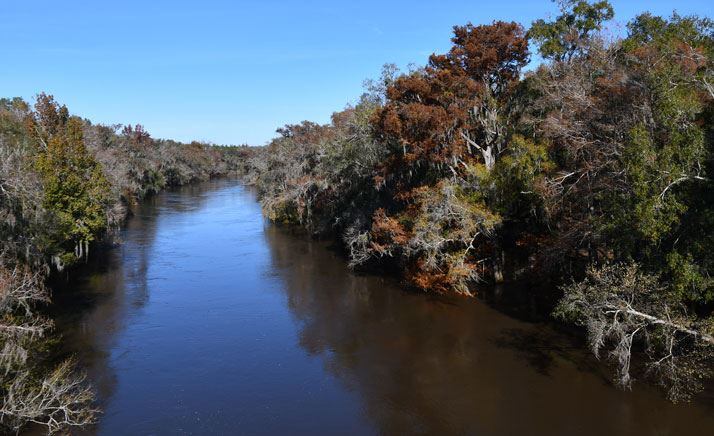 Suwannee River boat ramps closing due to high water levels - Vimarsana News